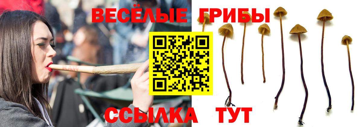 Жигулёвск  Галлюциногенные грибы MAGIC MUSHROOMS  Вход с VPN 